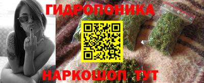 спиды Кинель