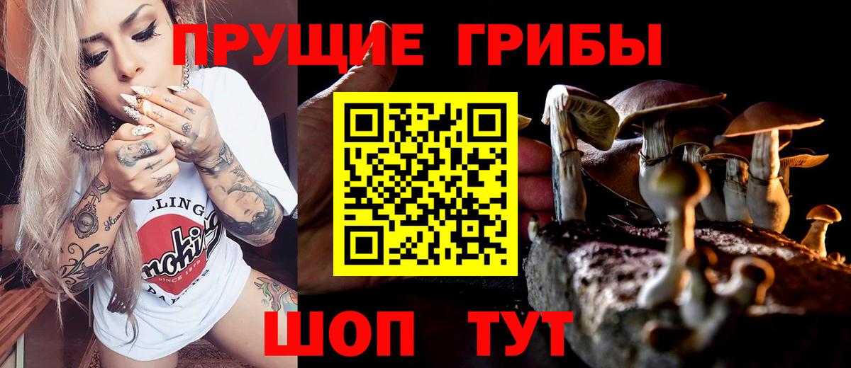 Псилоцибиновые грибы Psilocybine cubensis  Псилоцибиновые грибы Psilocybine cubensis  Вход с VPN  наркошоп  Сергиев Посад 